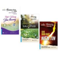 Sách - Combo Chicken Soup For The Soul 20 Hạt Giống Yêu Thương + Nắng Ấm Sau Mưa + Khi Bạn Mất Niềm Tin - First News