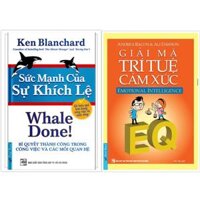 Sách - Combo Sức mạnh của sự khích lệ  Giải mã trí tuệ cảm xúc - FirstNews