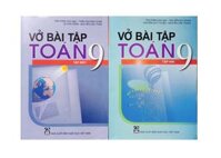 Sách - Combo Vở bài tập toán 9 -  Tập 1  Tập 2