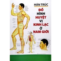 Sách - Đồ Hình Huyệt Vị Kinh Lạc Ở Nam Giới