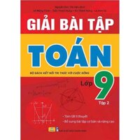 Sách - Giải Bài Tập Toán lớp 9 Tập 2 ( Bộ Sách Kết Nối Tri Thức Với Cuộc Sống )