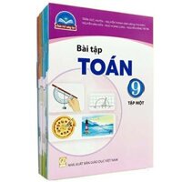 Sách Giáo Khoa Bộ Lớp 9 - Chân Trời Sáng Tạo - Sách Bài Tập (Bộ 10 Cuốn) (Chuẩn)