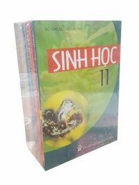 Sách Giáo Khoa Lớp 11 Ban Chuẩn (Bài Học - 14 Cuốn)