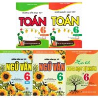 Sách Hỗ Trợ - Combo Bộ Sách Tham Khảo Toán - Văn - Khoa Học Tự Nhiên Lớp 6 (Bám Sát SGK Cánh Diều) (Bộ 5 Cuốn) (HA)