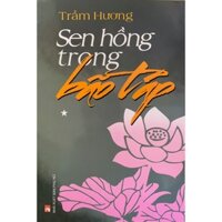 Sách - Sen Hồng Trong Bão Táp - Tập 1