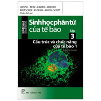 Sách - Sinh Học Phân Tử Của Tế Bào - Tập 3 - Cấu Trúc Và Chức Năng Của Tế Bào 1 (Tái Bản)