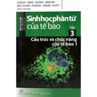 Sách - Sinh Học Phân Tử Của Tế Bào: Tập 3 - Cấu Trúc Và Chức Năng Của Tế Bào (Phần 1)
