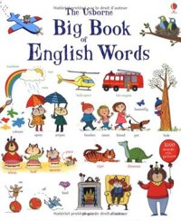 Sách tiếng Anh - Usborne Big Book of English Words