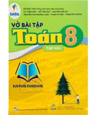 Sách - vở bài tập toán 8 - tập 2  cánh diều