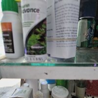 Sacheam Advance: kích rễ cho cây thủy sinh