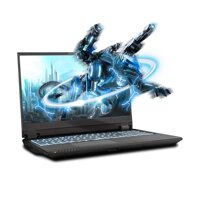 Sager NP8358F2 15.6-Inch FHD 144Hz, 72% NTSC Gaming Laptop, Intel i7-10875H, RTX 2070 Super 8GB, 16GB RAM, 500GB NVMe SSD, Windows 10
