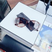 Saint Laurent - Kính mát Saint Laurent SLM8/F 003 viền havana (57-15-145)