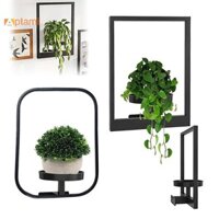 {Saiqianfa333} Khung treo tường cây kim loại Khung ảnh Máy trồng cây treo tường er Giá đỡ cây cửa sổ bằng kim loại sành điệu để trang trí nội thất Giá đỡ trưng bày mới