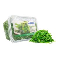 Salad Rong Biển Trộn Gia Vị Nissi ( Hộp 500g/ Túi 1kg) – Frozen Seasoned Seaweed