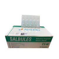 Salbules Salbutamol 2.5mg/2.5ml (50 ống)