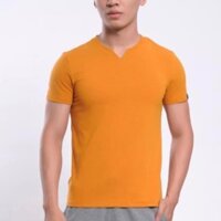 [SALE] Áo T-Shirt Aristino cổ tim cực chất ་ ་  ྇