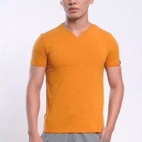 [SALE] Áo T-Shirt Aristino cổ tim cực chất ་