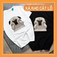 (SALE) Áo thun chú cún cute