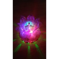 sale  CB 2 ĐÈN LED HOA SEN XOAY ĐỔI MÀU ShopAnhThu