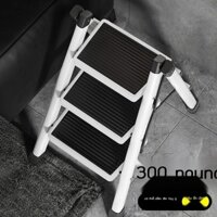 [SALE] Đa Năng Hộ Gia Đình Thang Dày Xương Cá Thang Di Động Phòng Khách Bảo Quản Hoa Đứng Thang Có