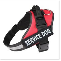 [SALE] Đồ dùng chăm sóc thú cưng  Dây xích chó kèm yếm - Yếm đai chó K9, khóa nhựa cao cấp siêu bền 7474