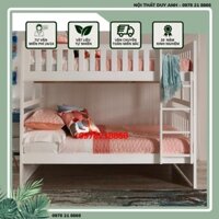 SALE Giường 2 Tầng G6 Juno Sofa 1m2/1m2