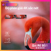 Sale - Google Tivi Hisense 43" 50" UHD 4K HDR TV A6500H Dolby Vision Atmos Điều khiển giọng nói từ xa - Bảo hành 2 năm n