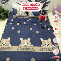 [SALE HOT] 🐼 Bộ Chăn hè Ga Gối Cotton Poly Combo 5 Món Mẫu Gấu Chefull Hoạ Tiết Sinh Động Đủ Kích Thước