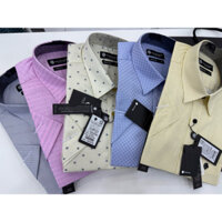 (SALE LẺ SIZE) San Sciaro Áo sơ mi cao cấp tay ngắn vạt ngang form regular tiêu chuẩn