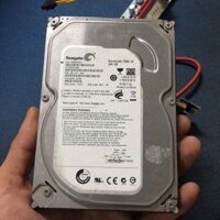 Sale mạnh ổ cứng 250G sata đã cài sẵn