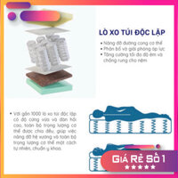Sale - Nệm lò xo Amando Verona túi độc lập, nâng đỡ cơ thể, cuộn hút chân không ( sale ) Miễn phí giao hàng . Giao hàng