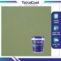 [SALE OFF 30%] Sơn hiệu ứng bê tông TEXACOAT màu xanh rêu bền màu, co giãn tốt, chống nứt chân chim