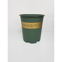 Sale off combo 5 Chậu Nhựa Trồng Cây Cao Cấp Monrovia 3GAL (chậu3gallon) cỡ số 3 cực đẹp.