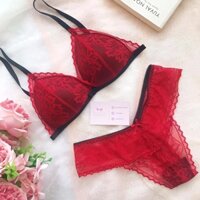 [Sale] Set bra ren siêu sexy, quần lọt khe ren