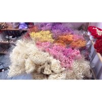 [SALE SỐC] BÓ HOA BABY DECOR siêu xinh (bó lớn)