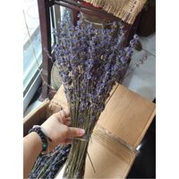 [SALE SỐC] Hơn 100 cành Hoa khô oải hương lavender thơm nồng nàn, màu tím rịm