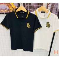 SALE TẤT Áo thun nam cao cấp áo polo chuẩn đẹp thêu hình DG thời trang vải dày dặn thoáng mát như hình