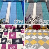 [SALE]Set 4 món drap gối cotton Thắng Lợi