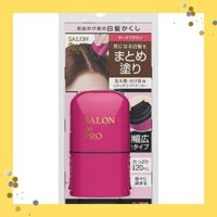 Salon de Pro Gray Hair Hide Retouch Wide Marker Dark Brown