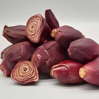 Sâm Đại Hành Khô Thương Hiệu Satoso