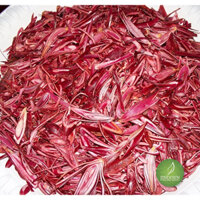 Sâm Đại Hành (tỏi đỏ) - Vị thuốc bổ máu, hỗ trợ bệnh viêm nhiễm JD151 samdaihanh