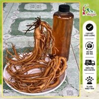 Sâm Dây Ngọc Linh (Đẳng Sâm) Củ Tươi To Đẹp Làm Trà Sắc Nước, Ngâm Rịu, Bồi Bổ Sức Khoẻ, Túi 1kg| Dược Liệu Rừng Kon Tum