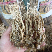 sâm đương quy 500g -1kg