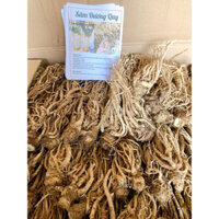 sâm đương quy 500g -1kg