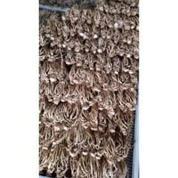 sâm đương quy 500g - 1kg