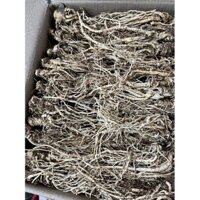 Sâm Đương Quy Khô