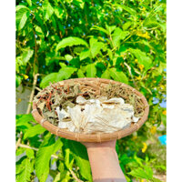 Sâm tố nữ 4 vị (Kết hợp Nam dương sâm, Diệp hà thủ ô, Cúc mật) (15 gói)