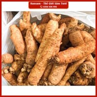 SÂM TRỌC 7-8CỦ/KG, Nhân Sâm tươi Hàn Quốc, ngâm mật ong, nấu trà bồi bổ sức khoẻ