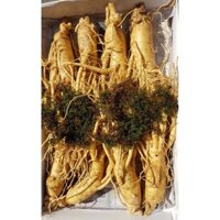 Sâm Tươi Hàn Quốc 6 Năm Tuổi 8 Củ- 1kg, Nhân Sâm Hàn Quốc, có tác dụng chống mệt mỏi, tăng cường sức khỏe, sâm hàn quốc,