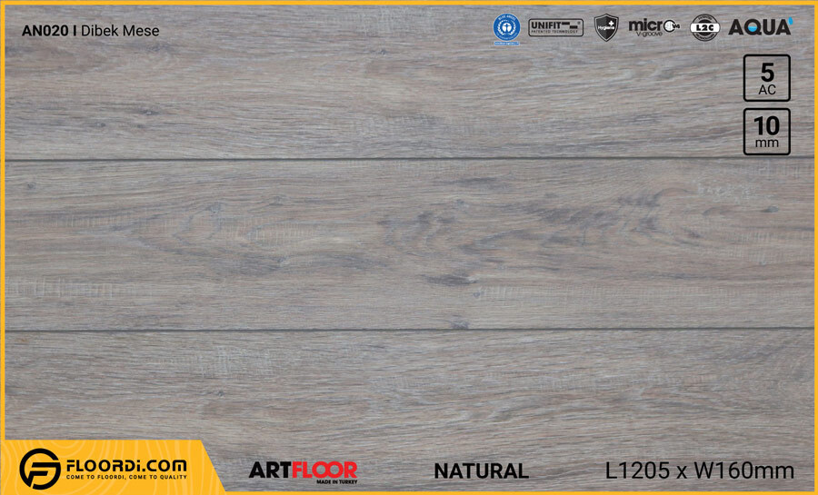 Sàn gỗ Artfloor AN020